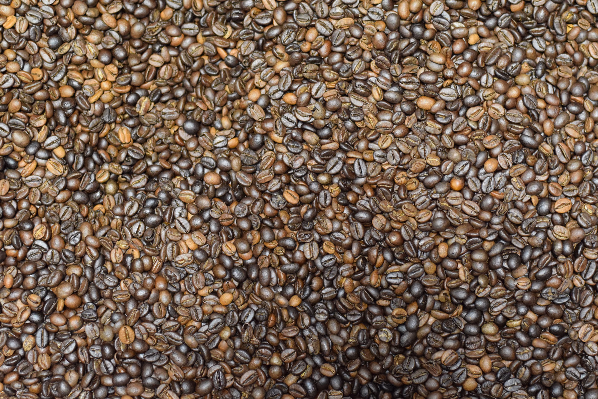 blend_gemamri_image
