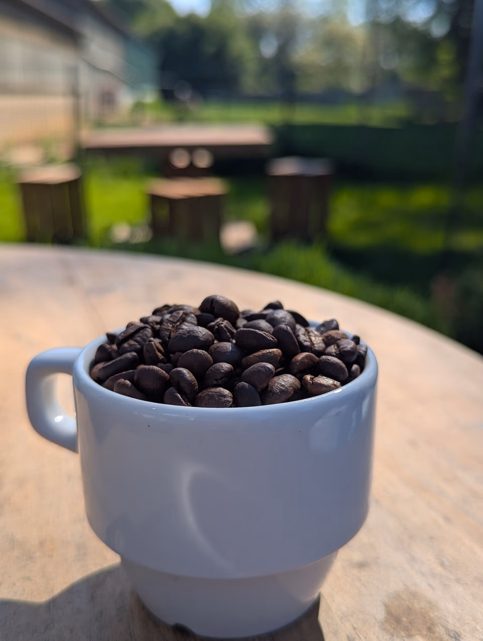Tasse de café remplie de grains de café