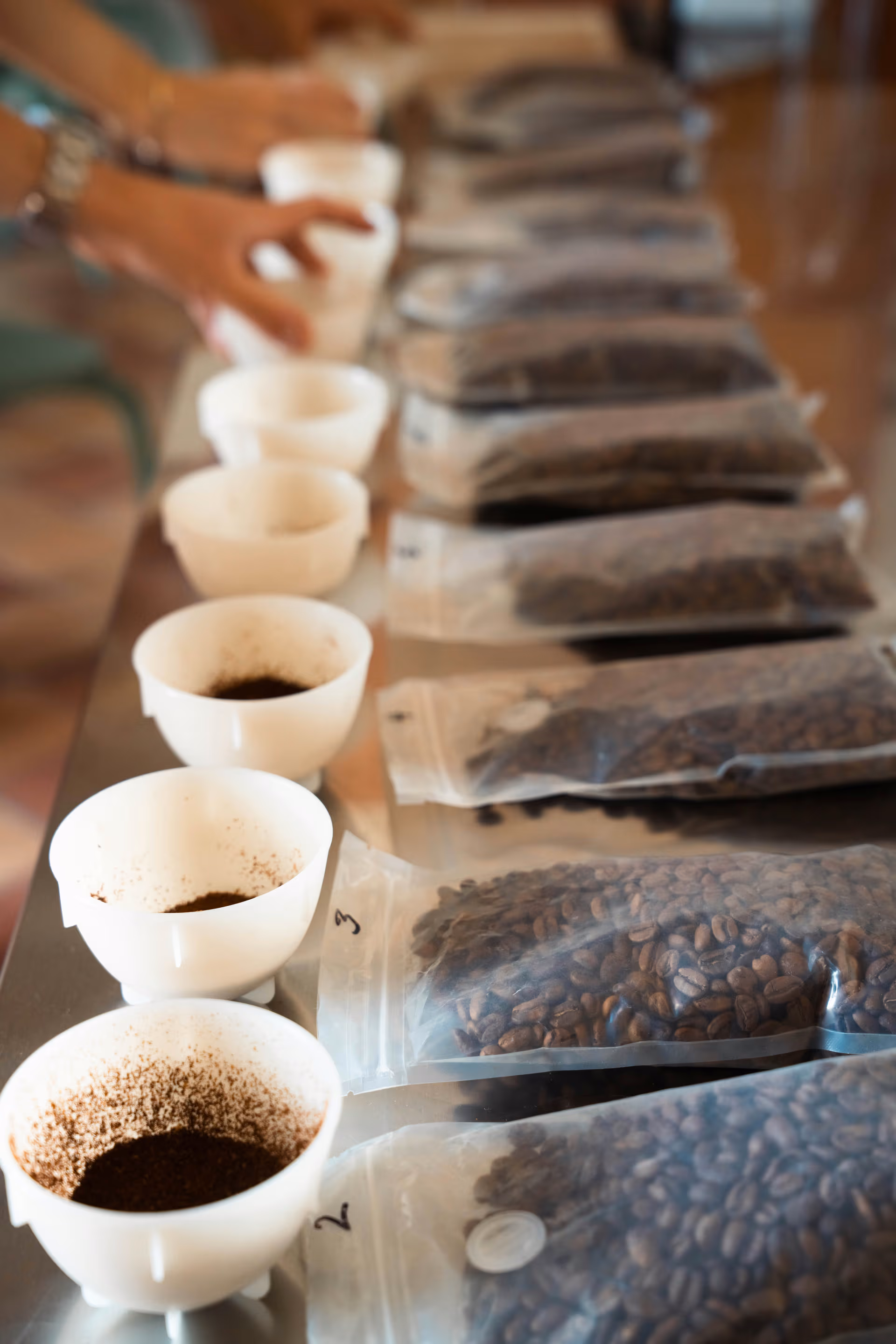 Dégustation de plusieurs café issus de différents fournisseurs