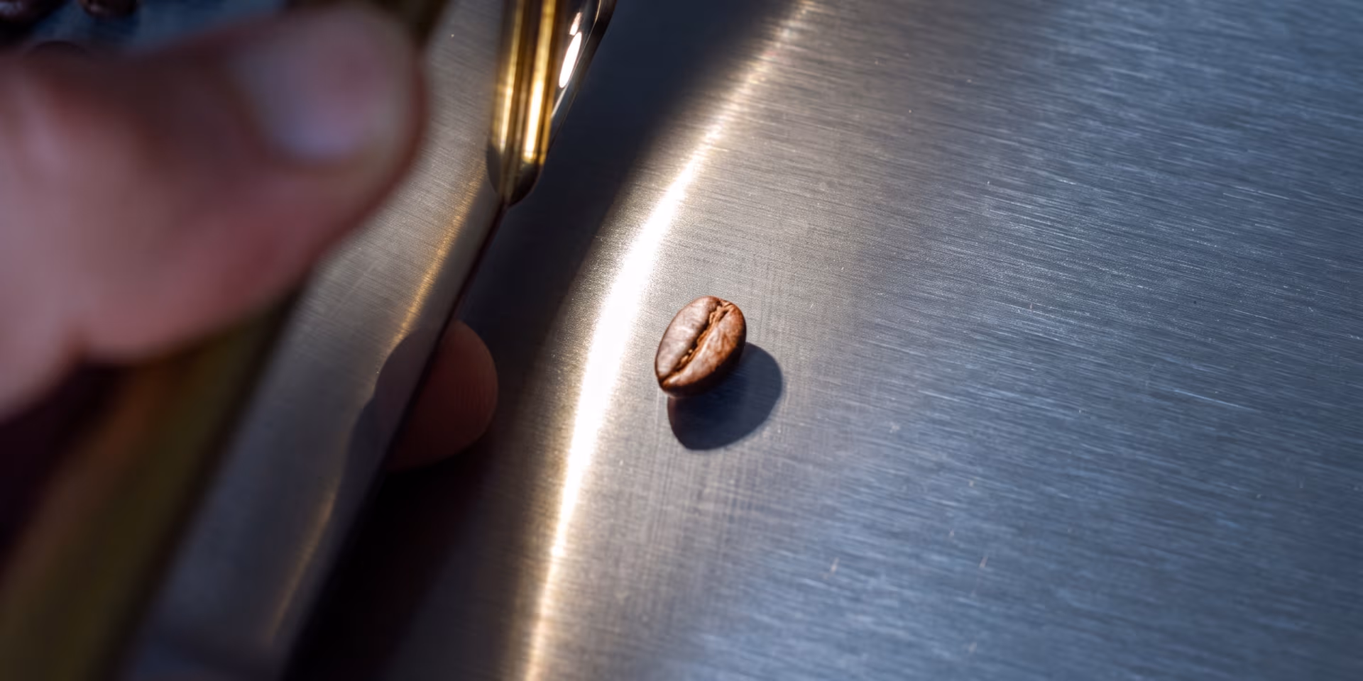 Tas de grains de café