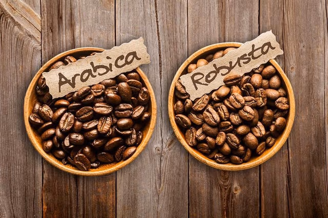 Grains d'arabica et de robusta